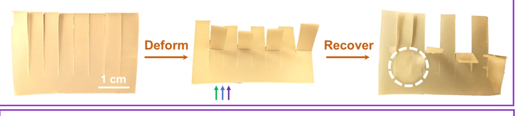 Open access visualization of Photo, Transformation, Palm-shaped Device, Permanent Shape, Temporary Shape