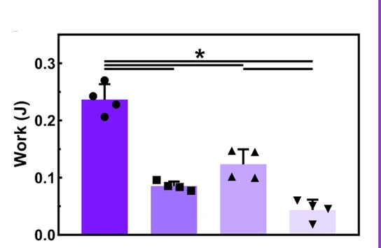 Open access visualization of Bar Plot, Error Bars, Work, Stent Removal, Commercial Stents