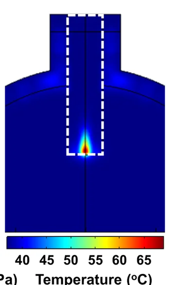 Open access visualization of Heatmap, Temperature Increase, HIFU Heating, Bladder, PUU-PCL Device