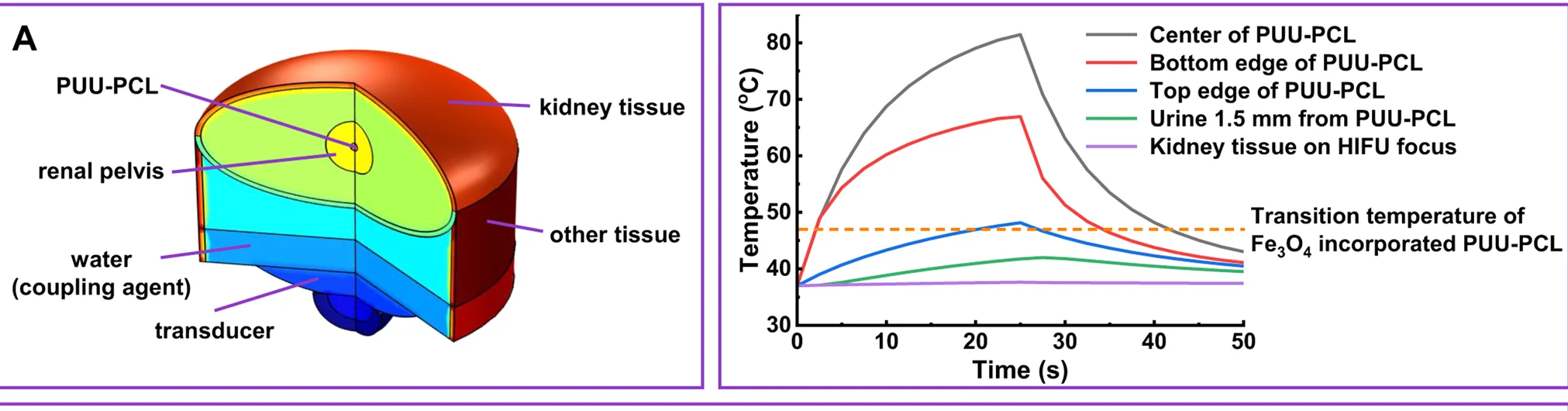 Open access visualization of Line Plot, 3D Plot, Temperature Change, HIFU Heating, Urine