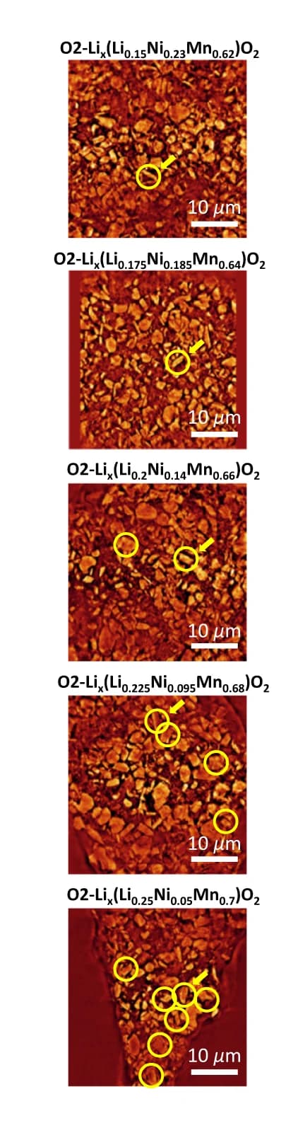 Open access visualization of Microscopy, XNI Tomography, Electrodes, Particles, Bulk Defects