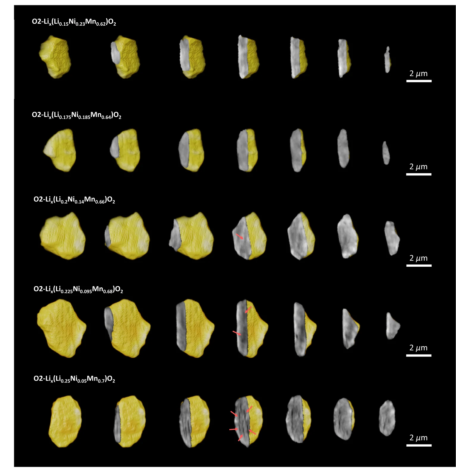 Open access visualization of Microscopy, 3D Volume Rendering, Cross-sectional Views, Defective Particles, Electrodes