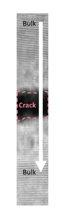 Open access visualization of Microscopy, STEM-EELS, Crack Area