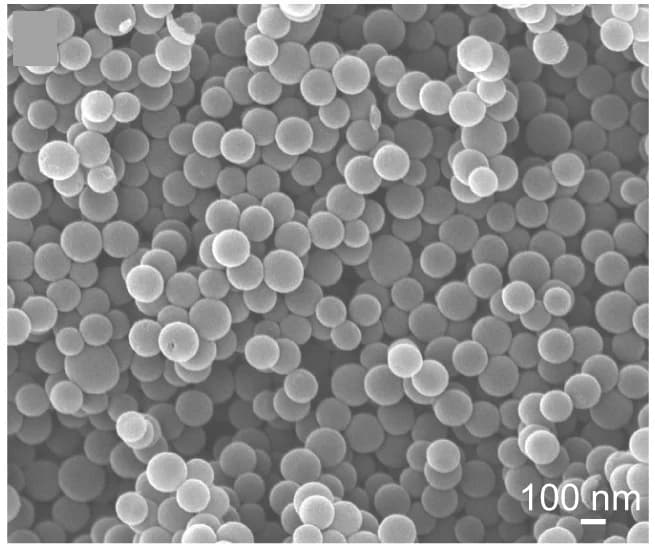 Open access visualization of Microscopy, SEM, Ni-N4, Single-Atoms, Carbon Support