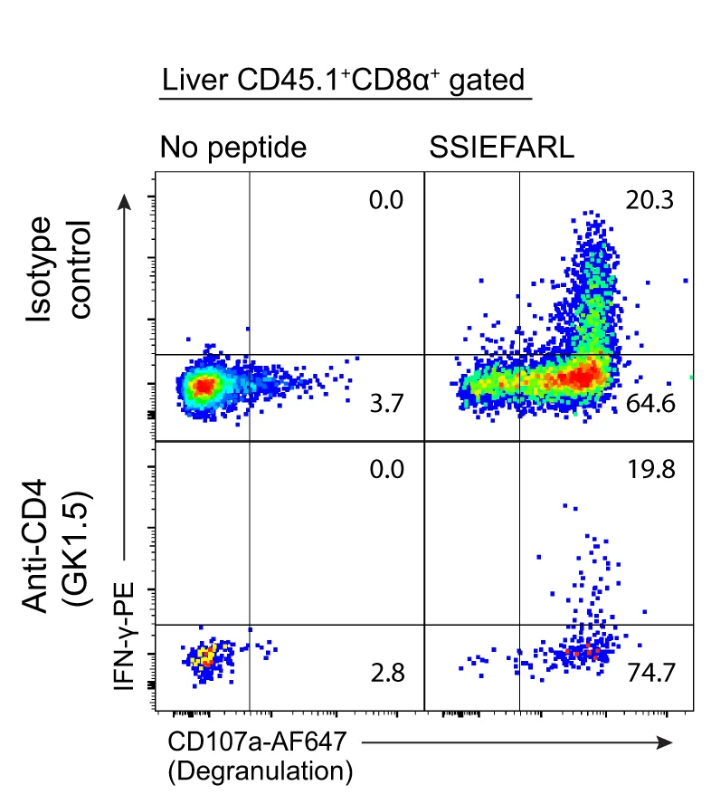 Open access visualization of Scatter Plot, FACS Plot, Intrahepatic Memory CD8 T Cells, gBT-1 T Cells, Degranulation