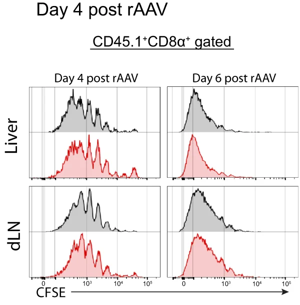 Open access visualization of Density Plot, CFSE Proliferation Profiles, gBT-1 T Cells, Livers, Liver Draining LNs