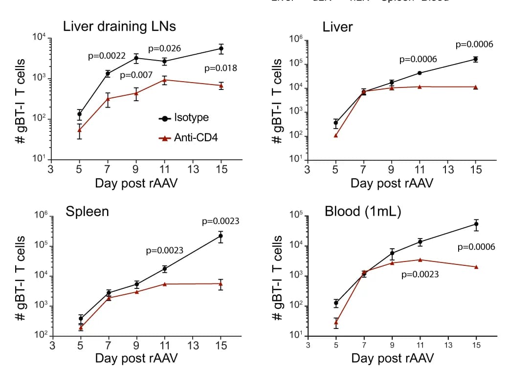 Open access visualization of Line Plot, Error Bars, Kinetics, gBT-1 T Cell Numbers, Liver Draining LNs