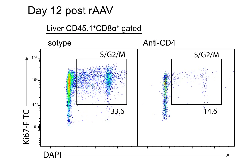 Open access visualization of Scatter Plot, FACS Plot, gBT-1 T Cells, Liver, Liver Draining LNs