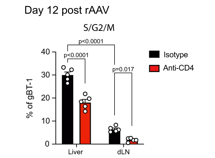 Open access visualization of Bar Plot, Clustered, Error Bars, gBT-1 T Cells, Liver