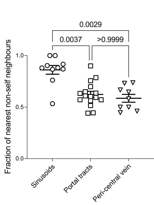 Open access visualization of Scatter Plot, Quantification, tdTomato+ Neighbours, CD45.1+ gBT-1 T Cells, Sinusoidal Compartment