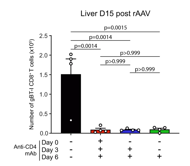 Open access visualization of Bar Plot, Error Bars, T Cells, rAAV Treatment, CD4 T Cells