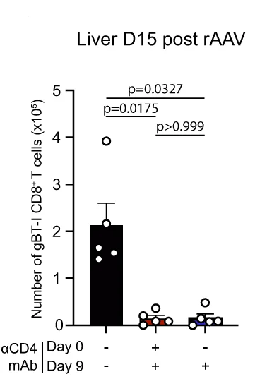 Open access visualization of Bar Plot, Error Bars, Scatter Plot, T Cells, rAAV Treatment