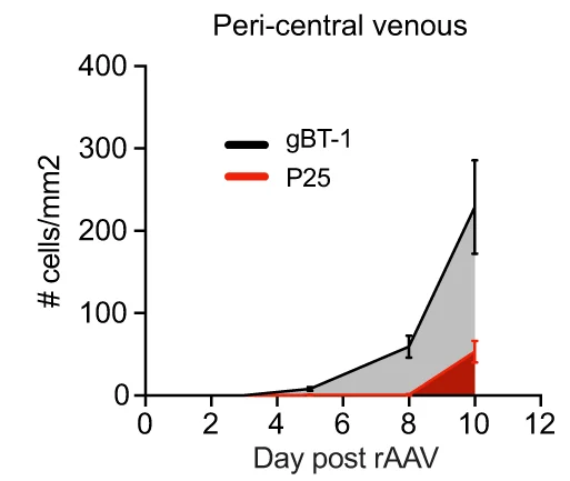 Open access visualization of Line Plot, Error Bars, T Cells, rAAV Treatment, PCV