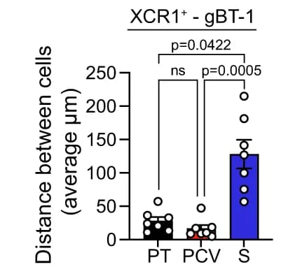 Open access visualization of Bar Plot, Error Bars, Scatter Plot, Distance, XCR1 + Cells