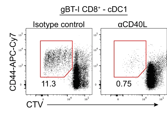 Open access visualization of Scatter Plot, Isotype Control, Anti-CD40L Blocking mAb, CD40/CD40L Interactions, Flow Plots