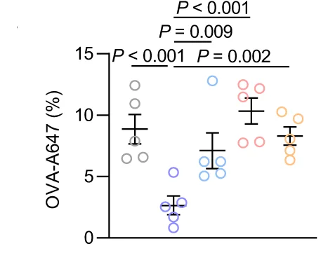 Open access visualization of Scatter Plot, Error Bars, Fluorescence Distribution, OVA-A647, Deep Cervical Lymph Node Sections