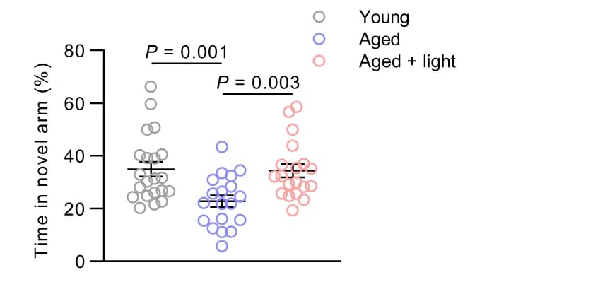 Open access visualization of Scatter Plot, Error Bars, Y-maze Test, Novel Arm, Percentage of Time