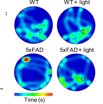 Open access visualization of Heatmap, Occupancy Heatmaps, MWM Test, 5xFAD Mice, Wild-Type Mice