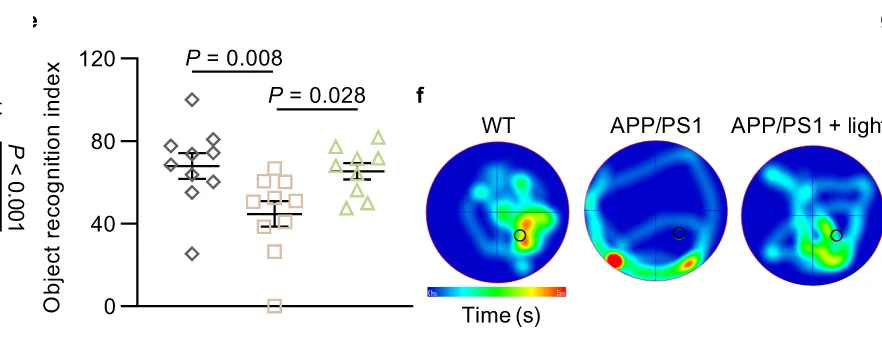 Open access visualization of Scatter Plot, Error Bars, Heatmap, Object Recognition Index, NOR Test