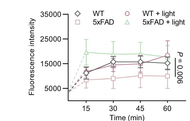 Open access visualization of Line Plot, Error Bars, Fluorescence Intensity, OVA-ICG, sCLNs