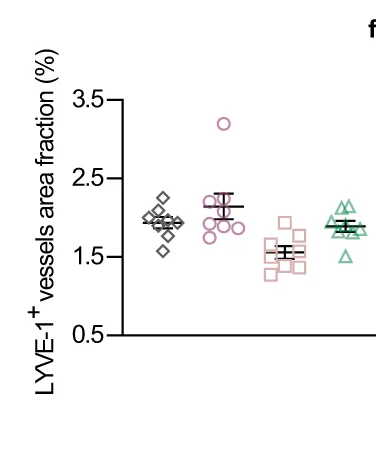 Open access visualization of Scatter Plot, Error Bars, Area Fraction, LYVE-1+, Lymphatic Vessels
