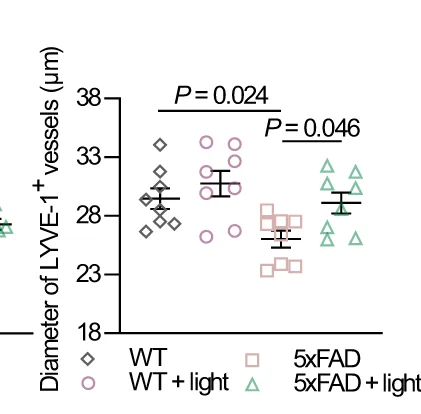 Open access visualization of Scatter Plot, Error Bars, Diameter, LYVE-1+, Lymphatic Vessels
