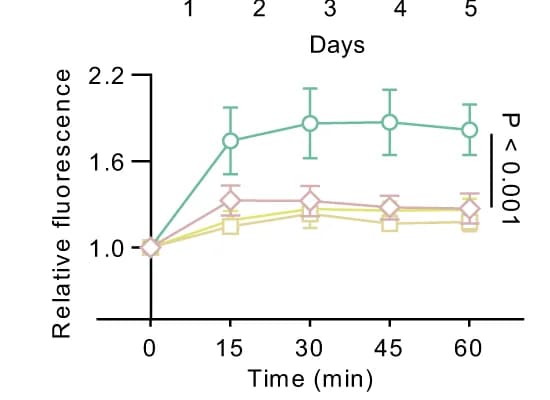 Open access visualization of Line Plot, Error Bars, Fluorescence Intensity, OVA-ICG, sCLNs