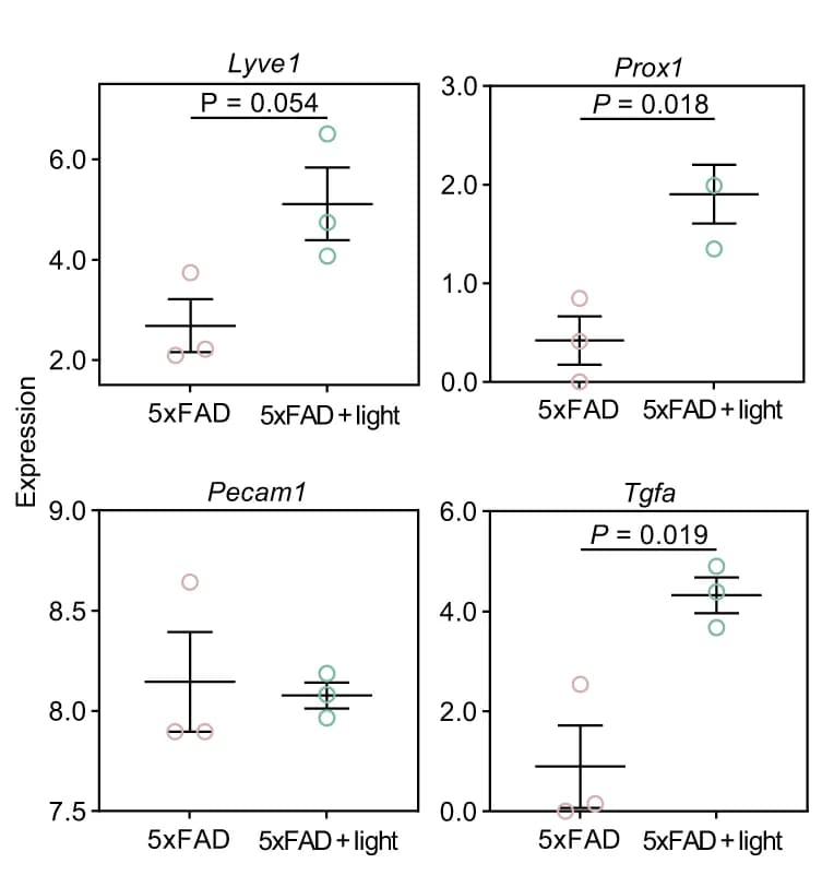 Open access visualization of Scatter Plot, Error Bars, Lyve1 Expression, Prox1 Expression, Pecam1 Expression