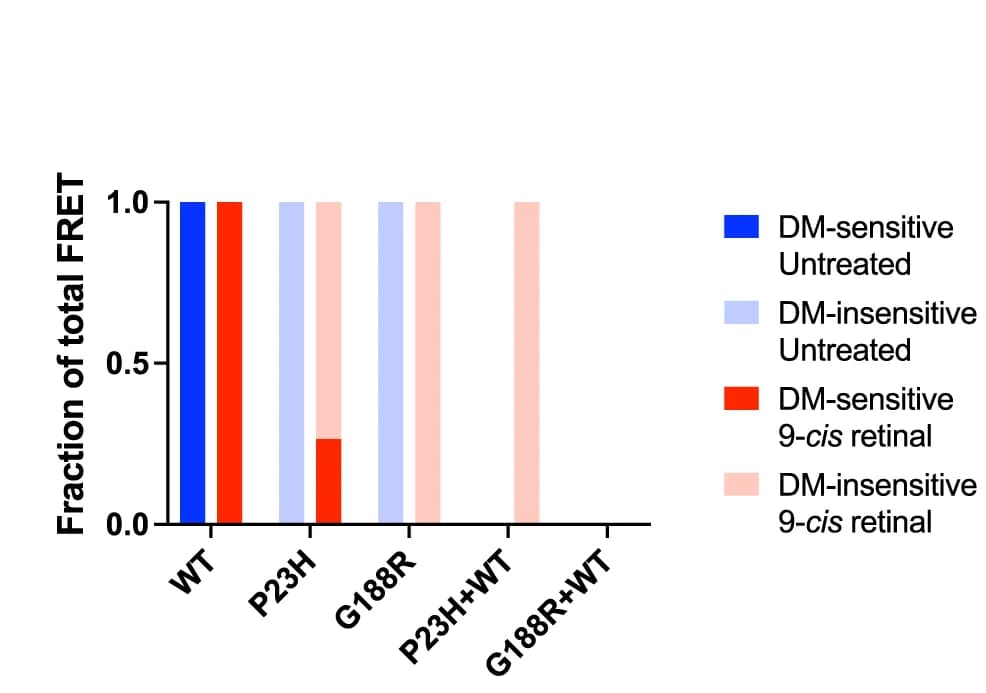 Open access visualization of Bar Plot, FRET Signal, DM-sensitive FRET, DM-insensitive FRET