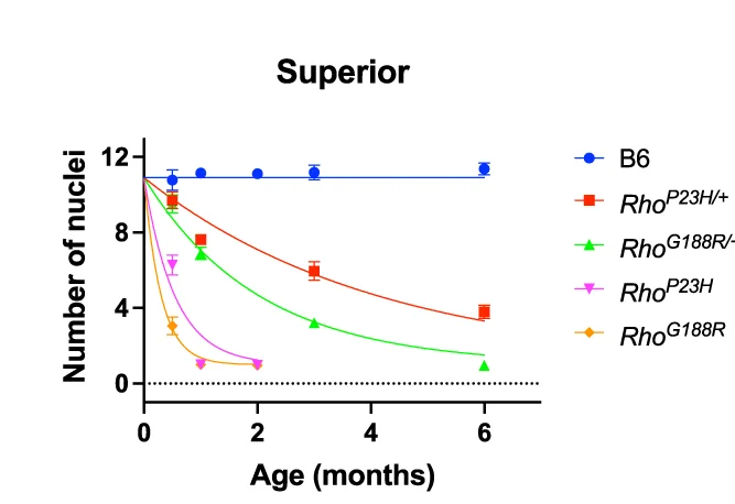 Open access visualization of Line Plot, Error Bars, Nuclei, Outer Nuclear Layer, Optic Nerve