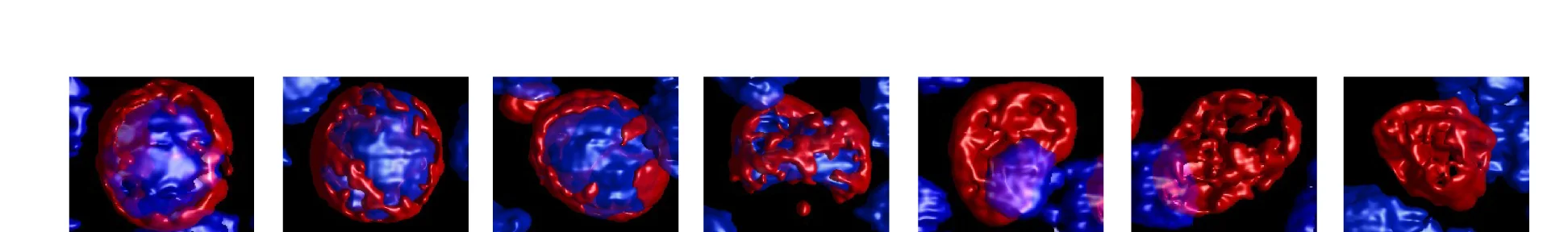 Open access visualization of Microscopy, 3D Surface Rendered Images, Nuclei, DAPI, PROTEOSTAT