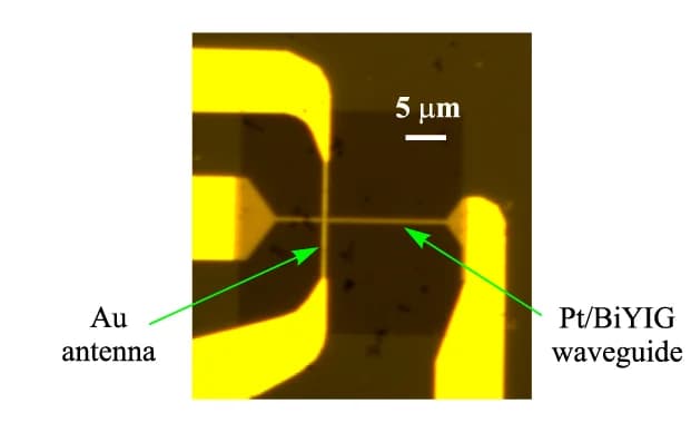 Open access visualization of Microscopy, Optical Micrograph, Sample