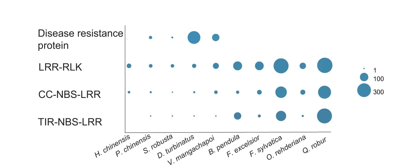 Open access visualization of Bubble Plot, Species, Source Data