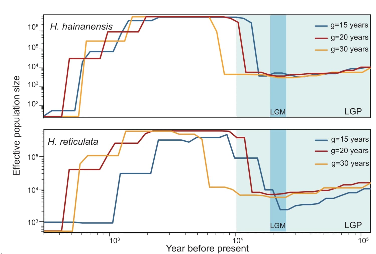 Open access visualization of Line Plot, Line Step, Demographic History, H. hainanensis, H. reticulata
