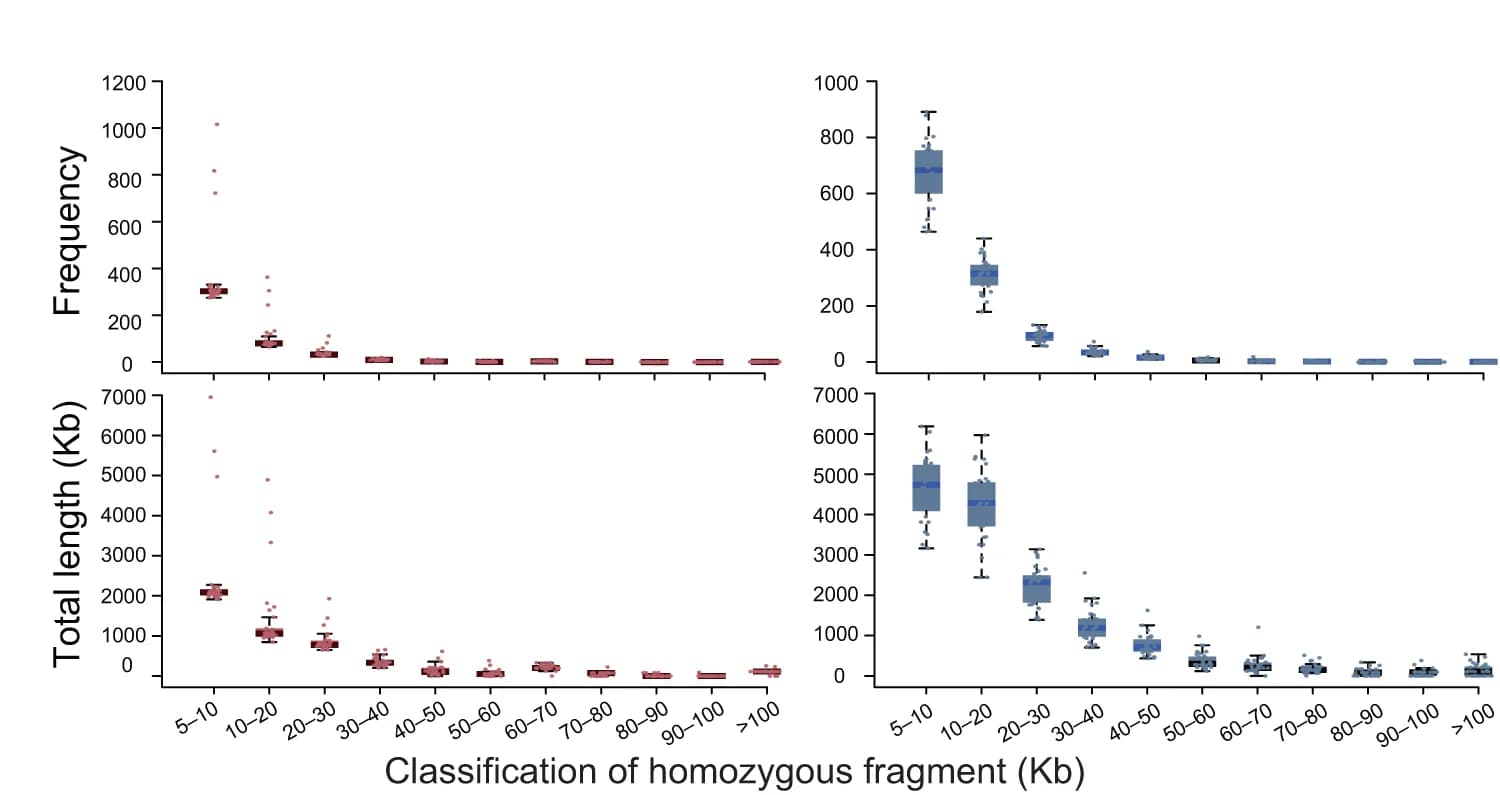 Open access visualization of Box Plot, Scatter Plot, Homozygous Fragments, Frequency Distribution, H. hainanensis