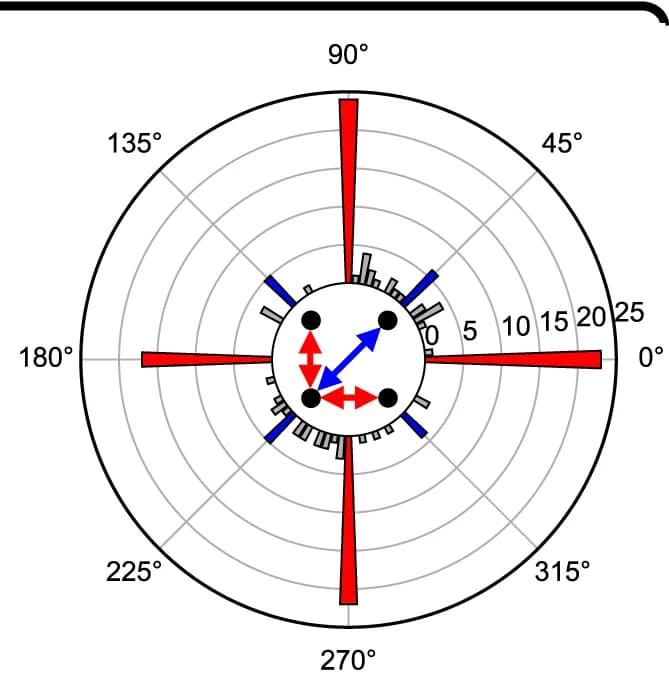 Open access visualization of Histogram, Radar Chart, Polar Histogram, Wrinkle Directions, Lattice Directions