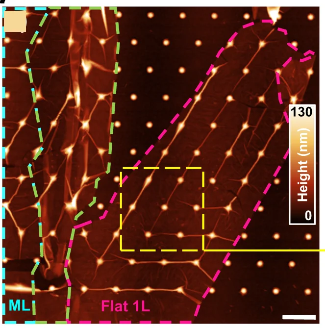 Open access visualization of Microscopy, WSe 2, Triangular Array, Nanocones, Monolayer