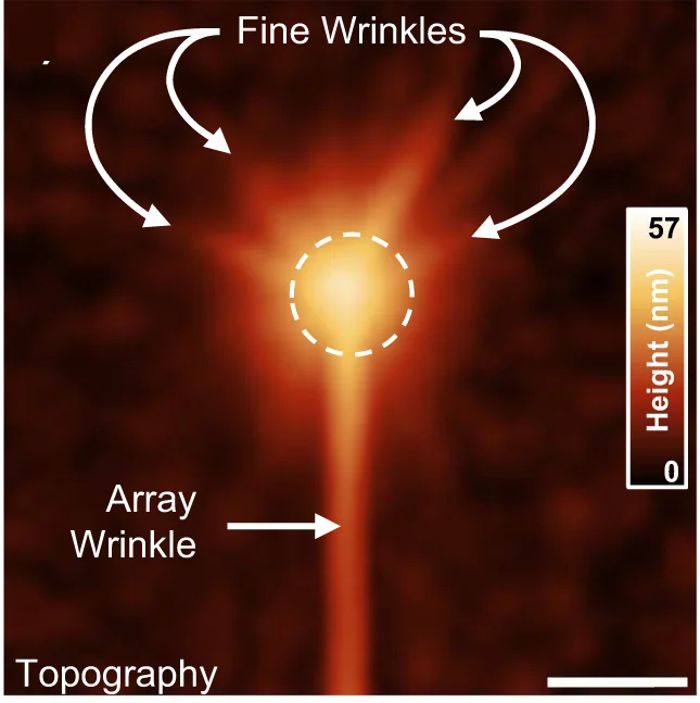 Open access visualization of Microscopy, AFM Topography, Nano-PL, Nanocone