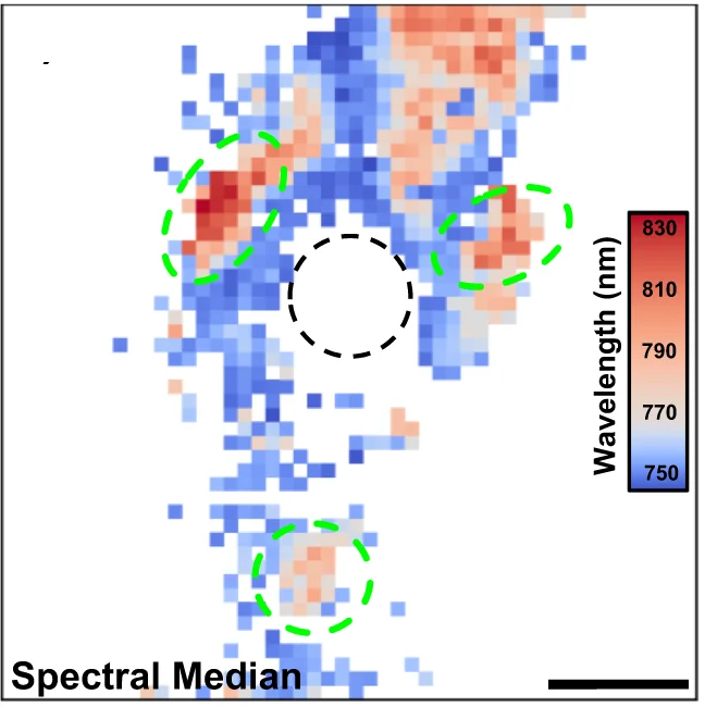 Open access visualization of Heatmap, Spatial Map, Spectral Median, Integrated Intensity