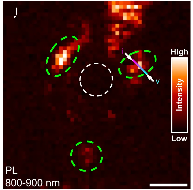 Open access visualization of Heatmap, Nano-PL, Localized States, Spectra