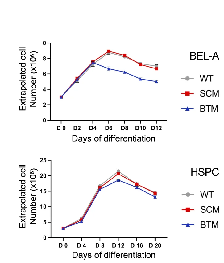 Open access visualization of Line Plot, Error Bars, Cell Expansion Profile, BEL-A, HSPCs