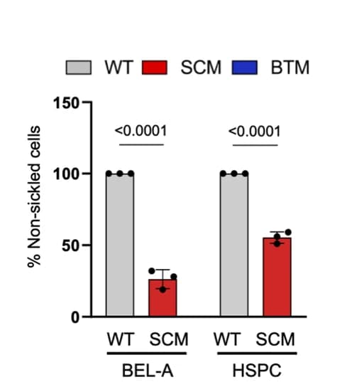 Open access visualization of Bar Plot, Error Bars, Clustered, Sickled Cells, BEL-A WT