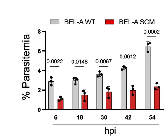 Open access visualization of Clustered, Error Bars, Bar Plot, Scatter Plot, Parasite Invasion Efficiency