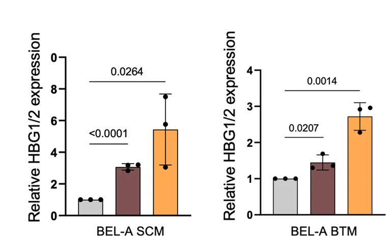 Open access visualization of Bar Plot, Error Bars, HBG1/2 Gene Expression, qRT PCR, BEL-A SCM