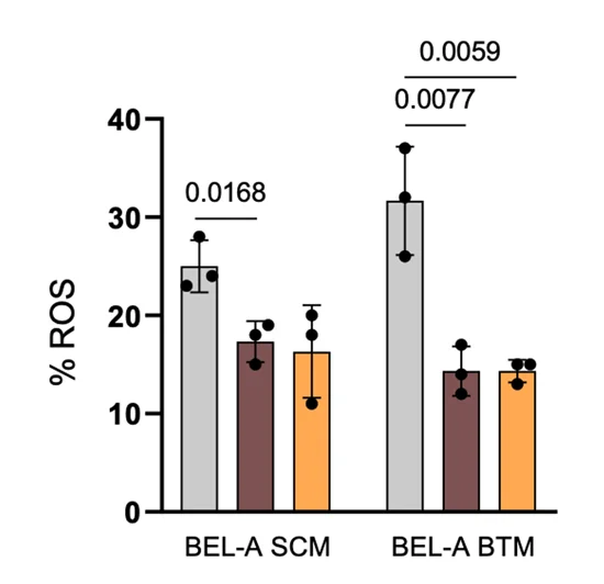 Open access visualization of Bar Plot, Error Bars, Clustered, ROS, BEL-A SCM
