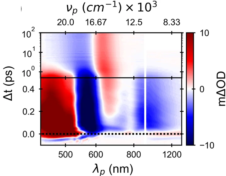 Open access visualization of Heatmap, 2D Color Map, TA Experimental Data, Bacteriorhodopsin, Probe Wavelength