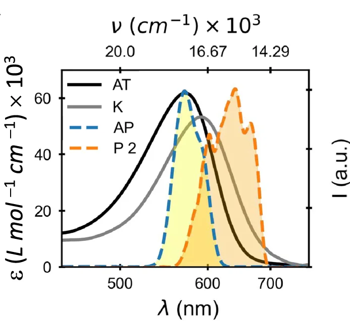 Open access visualization of Line Plot, Density Plot, Absorption Spectra, K Intermediate, Excitation Pulse Spectra