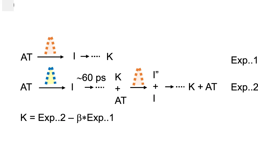 Open access visualization of Workflow, Flowchart, Photoreaction, Bacteriorhodopsin, K Intermediate