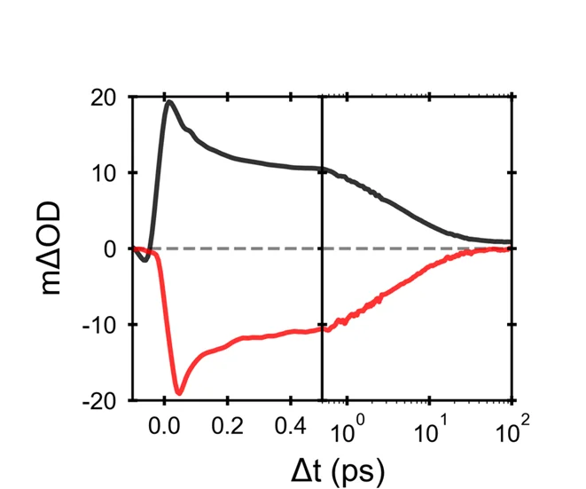Open access visualization of Line Plot, Excited-State Absorption, Stimulated Emission, Decay