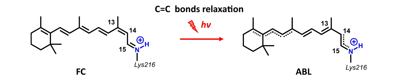 Open access visualization of Chemical Structure, C=C Bond Relaxation Pathway, Franck-Condon, Alternate Bond-Lengths, AT-BR